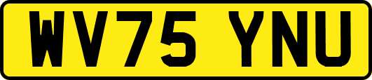 WV75YNU