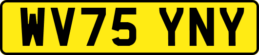 WV75YNY