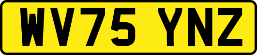WV75YNZ