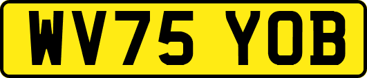 WV75YOB