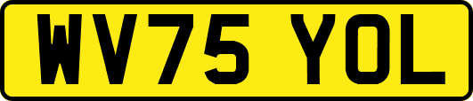 WV75YOL