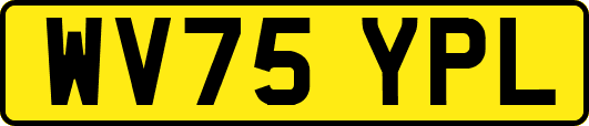 WV75YPL