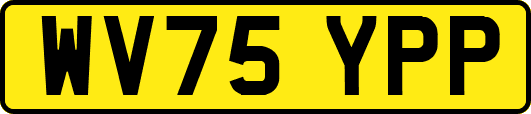 WV75YPP