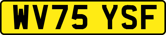 WV75YSF
