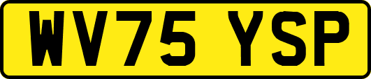 WV75YSP
