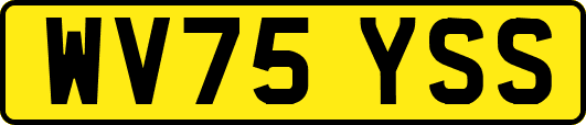 WV75YSS