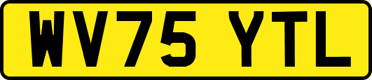 WV75YTL