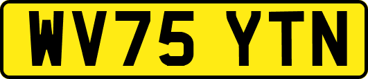 WV75YTN