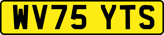 WV75YTS