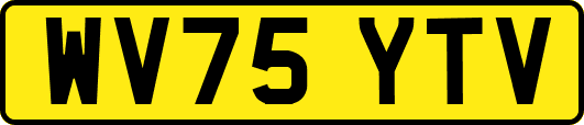 WV75YTV