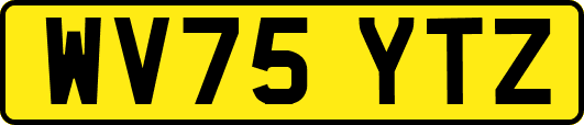 WV75YTZ