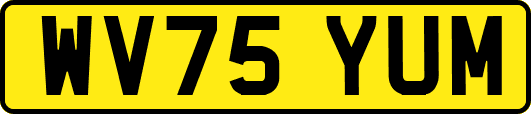 WV75YUM