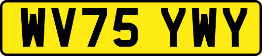 WV75YWY
