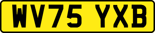WV75YXB