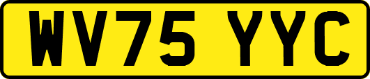 WV75YYC