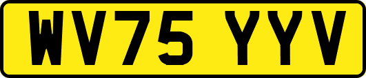 WV75YYV