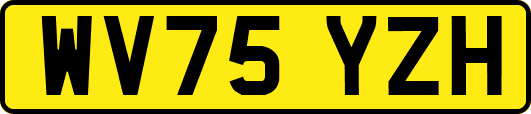 WV75YZH