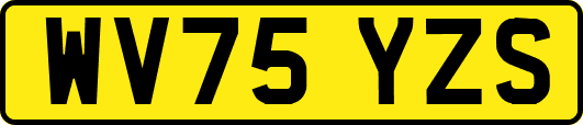 WV75YZS