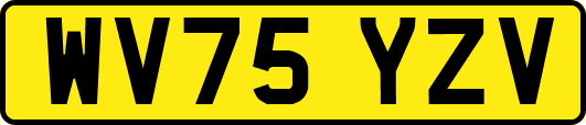 WV75YZV