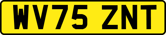 WV75ZNT