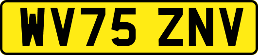 WV75ZNV