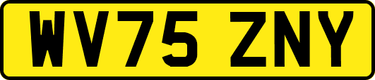 WV75ZNY