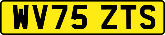WV75ZTS