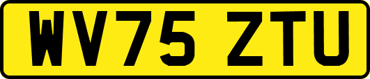 WV75ZTU
