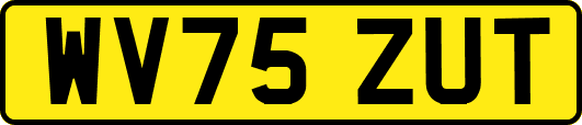 WV75ZUT