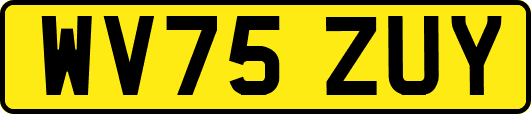 WV75ZUY