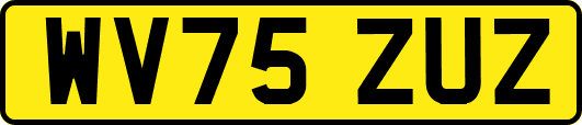 WV75ZUZ