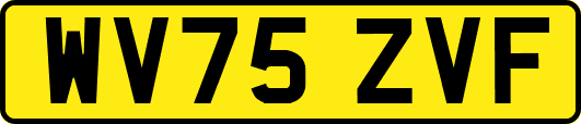 WV75ZVF