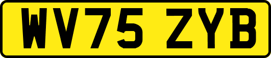 WV75ZYB