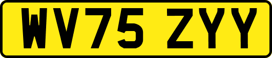 WV75ZYY