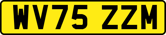 WV75ZZM