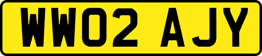 WW02AJY