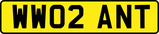 WW02ANT