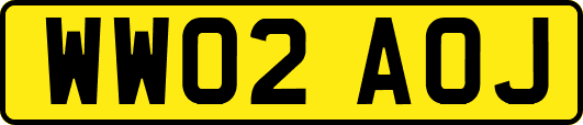 WW02AOJ