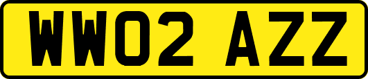 WW02AZZ