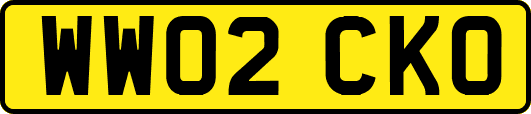 WW02CKO