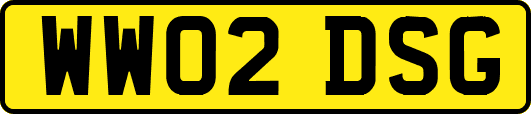 WW02DSG