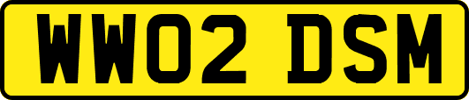 WW02DSM