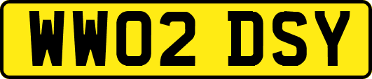 WW02DSY