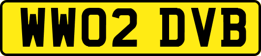WW02DVB