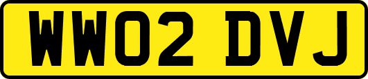 WW02DVJ