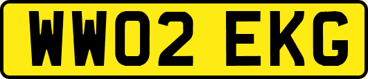 WW02EKG