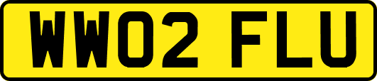 WW02FLU