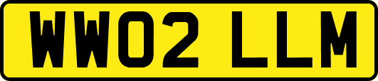 WW02LLM