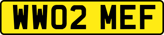 WW02MEF