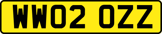 WW02OZZ